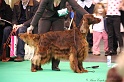 Crufts2011 428